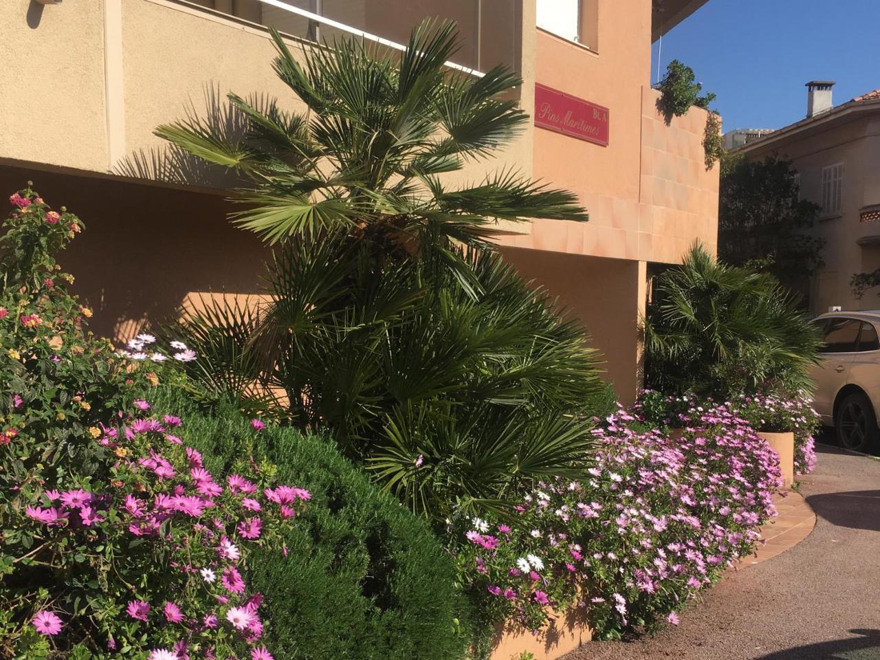 Les Pins Maritimes Apartment Frejus Ngoại thất bức ảnh